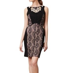 Anthropologie Maeve Black Lace Panel Fitted Dress 6 EUC